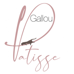 cropped-favicon-gallou-patisse_Plan-de-travail-1.png